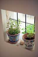 Katerina Traditional Rooms