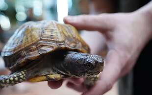 Hôtel Plaza Québec