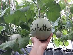 Sukhothai City Resort