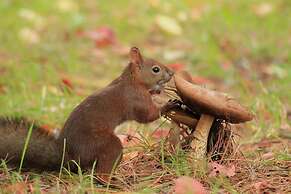 Pension Hoshi Ni Negaiwo