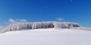 Pension Hoshi Ni Negaiwo