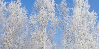 Pension Hoshi Ni Negaiwo