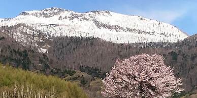 Pension Hoshi Ni Negaiwo