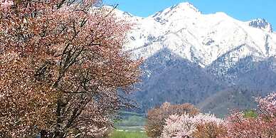 Pension Hoshi Ni Negaiwo