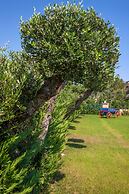 Agro Art Boutique & Luxury Villas