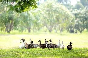 Chateau de Khaoyai Hotel & Resort