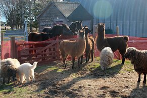Seaweed and Sod Farm Bed & Breakfast