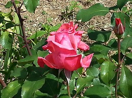 Casas da Moagem Turismo Rural