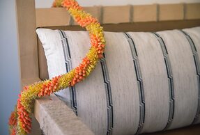 The Surfjack Hotel & Swim Club