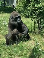 Hotel Möhringer Hof