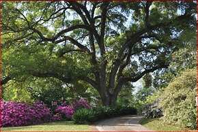 The Burn Bed and Breakfast