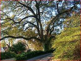 The Burn Bed and Breakfast