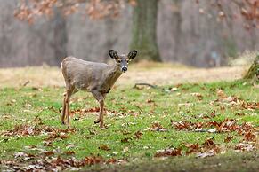 Crown Resorts at Silverwoods
