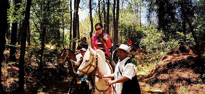 Arro Khampa by Zinc Journey Lijiang