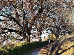 Hotel Villa Beccaris