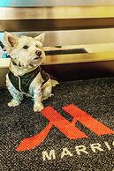 Ithaca Marriott Downtown on the Commons