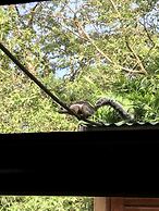 Dreams Lodge Monteverde