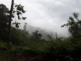 Sinharaja Birder's Lodge