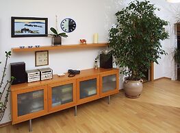 Tsaritsino Apart-Hotel