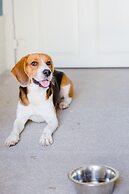 Home Made Guest Studios