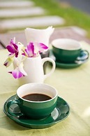 White Monkey Guesthouse