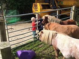 Barton Gate Farm Guesthouse