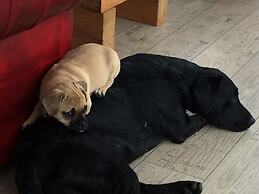 Barton Gate Farm Guesthouse