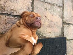 Barton Gate Farm Guesthouse