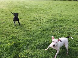 Barton Gate Farm Guesthouse