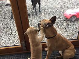 Barton Gate Farm Guesthouse