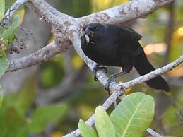 Becks Bed and Breakfast