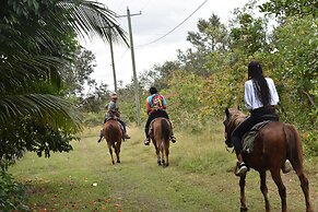 Becks Bed and Breakfast