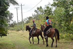 Becks Bed and Breakfast