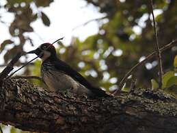 Becks Bed and Breakfast