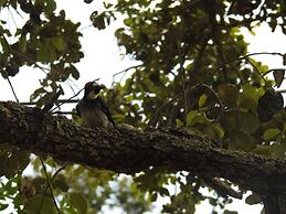 Becks Bed and Breakfast