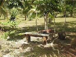 Becks Bed and Breakfast