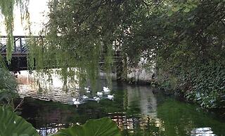 Asterias Studios Apartments