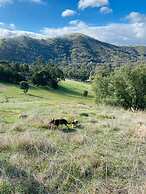 Trawool Shed Cottages