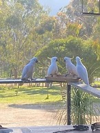 Trawool Shed Cottages