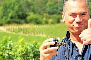 Domaine Pont Juillet