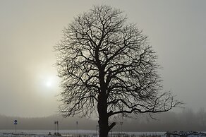 Femhøj