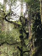 Annie's Escape in Warburton