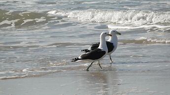 Bluewater Beach Accommodation