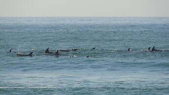 Bluewater Beach Accommodation