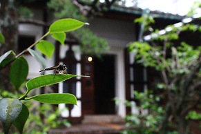 Naramachi Hostel & Restaurant