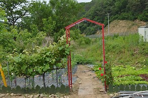 Pension Cafe Yoon & Park