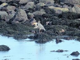 Pew With a View - Seafront Cottages