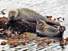Pew With a View - Seafront Cottages