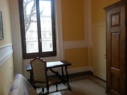 Little Garden Donatello