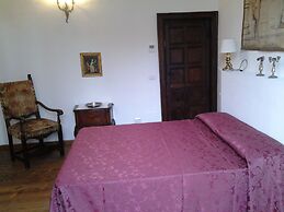 Little Garden Donatello